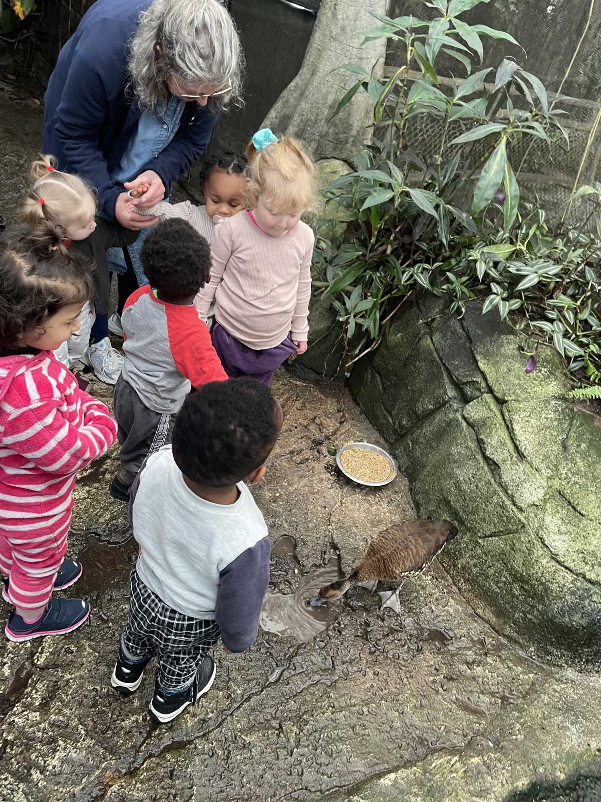 Børn fra Børnehuset Jennumparken i Regnskoven