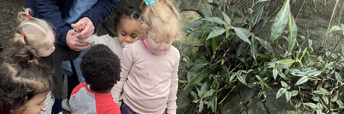 Børn fra Børnehuset Jennumparken i Regnskoven